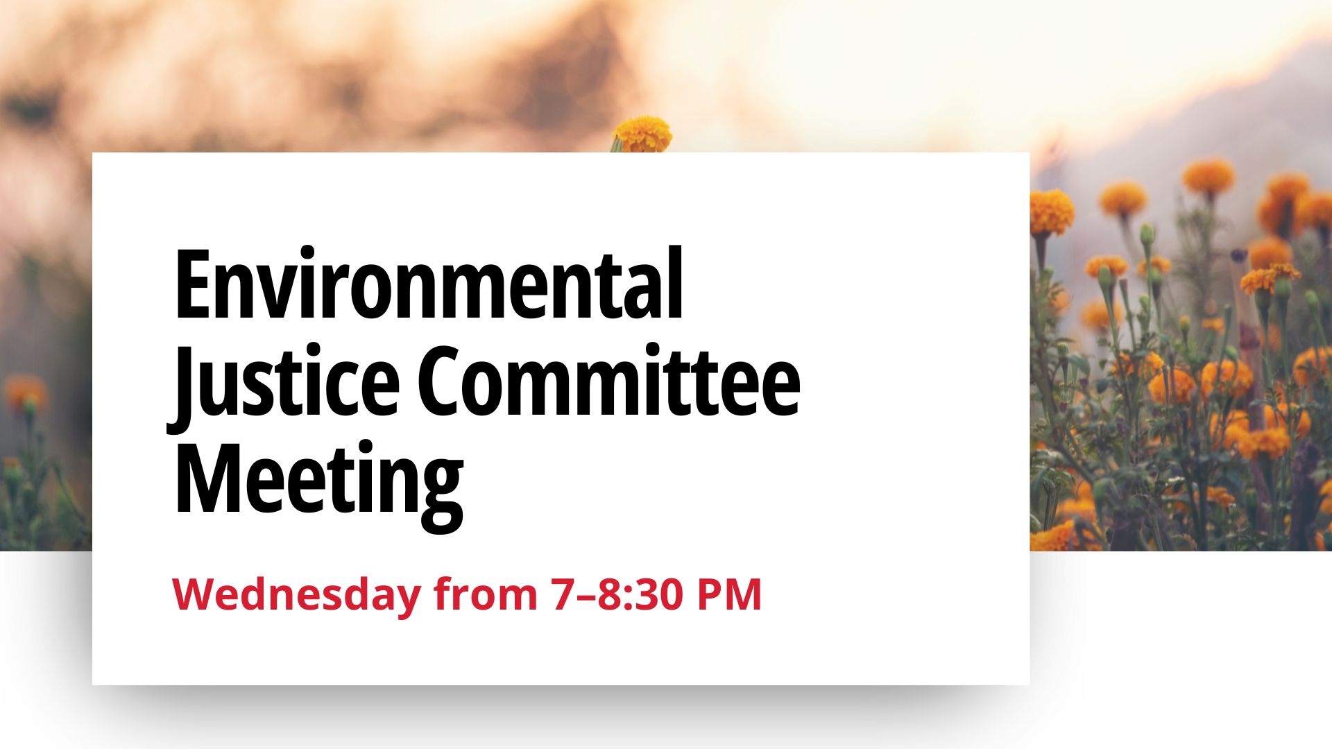environmental-justice-Committee-Meeting-event-cover-Image image