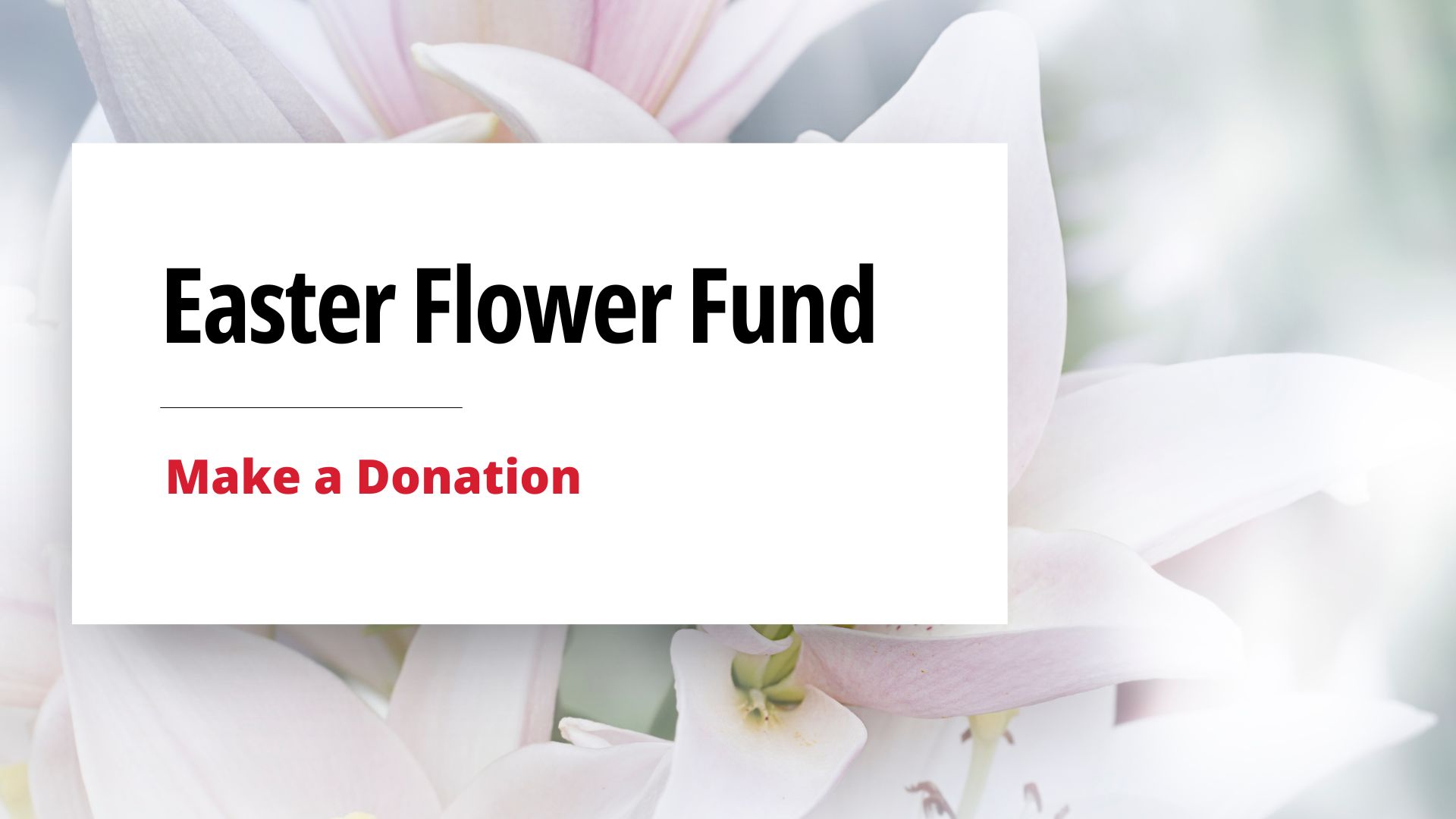 Easter-Flower-Fund image
